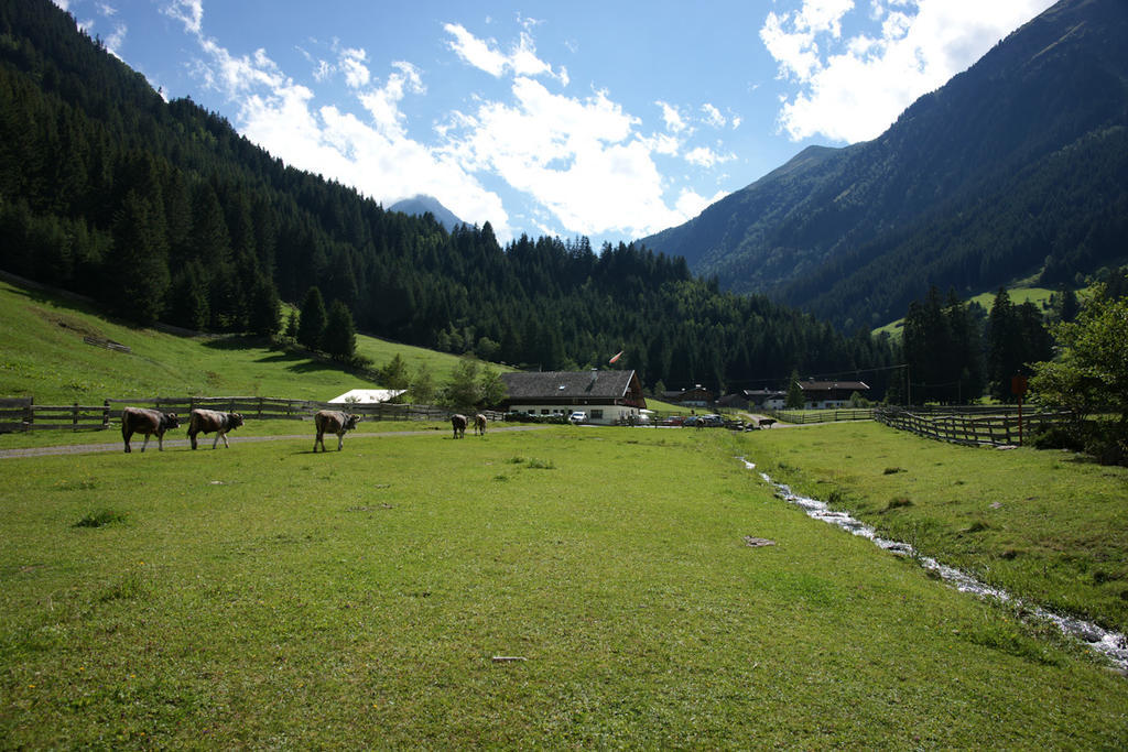 Doadlerhof Villa Neustift im Stubaital Exterior foto