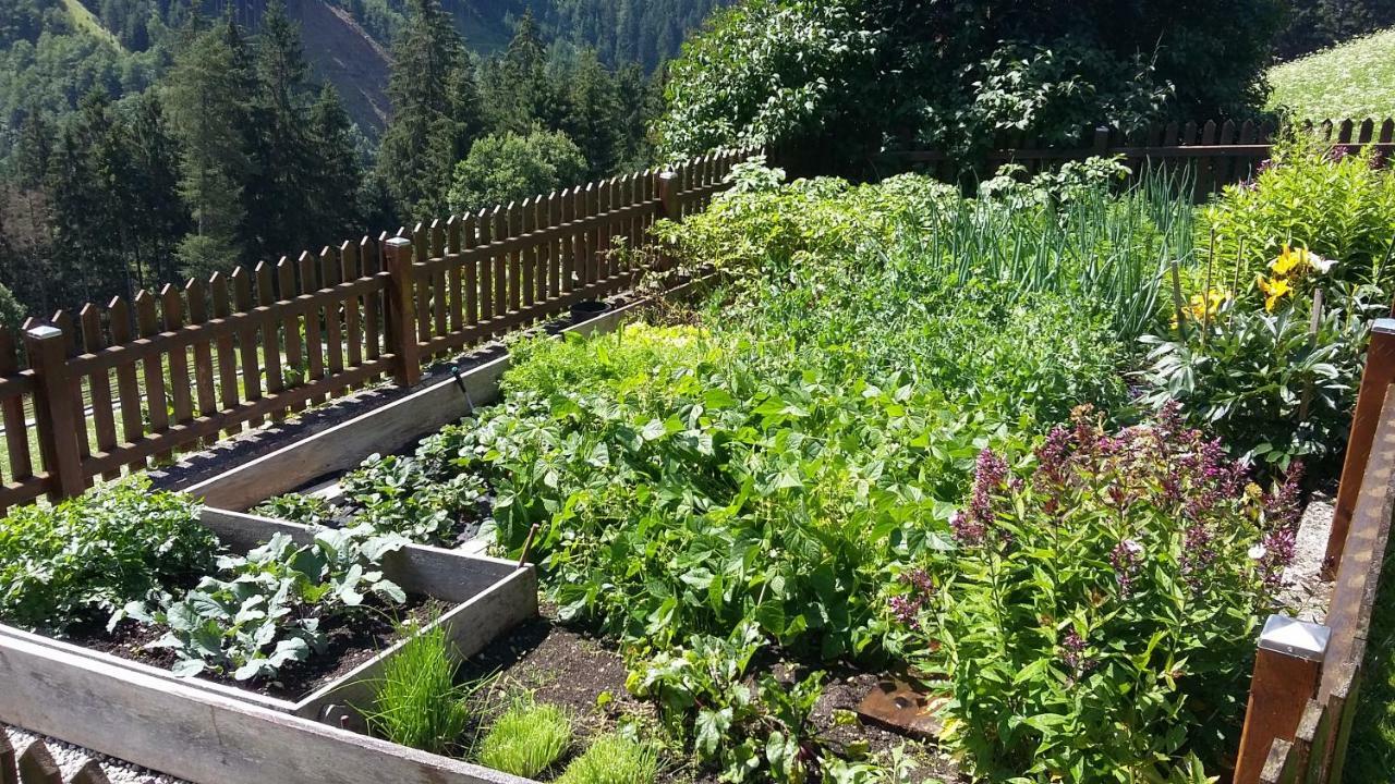 Doadlerhof Villa Neustift im Stubaital Exterior foto